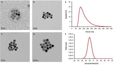 Novel Nanoparticle-Based Cancer Treatment, Effectively Inhibits Lung Metastases and Improves Survival in a Murine Breast Cancer Model